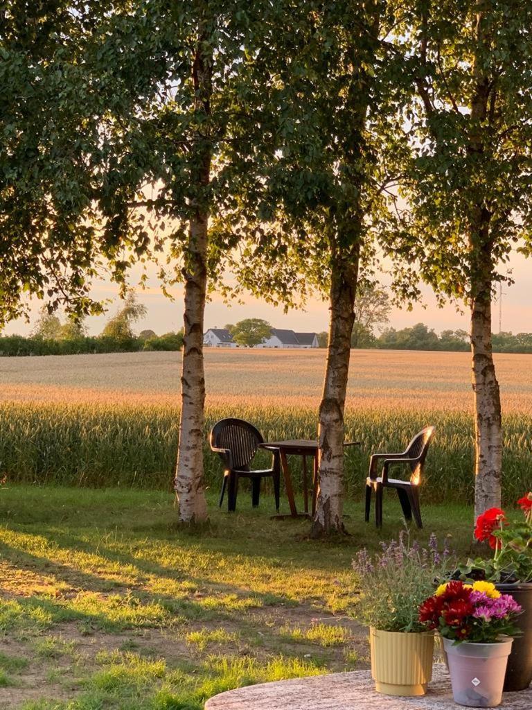 Romantik Luxus Glamping 2 Idestrup Εξωτερικό φωτογραφία